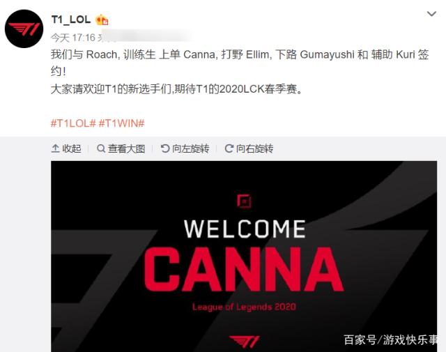 团队的支持 团队的支持