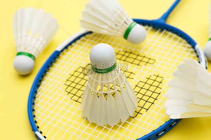 姆斯商业版 姆斯商业版